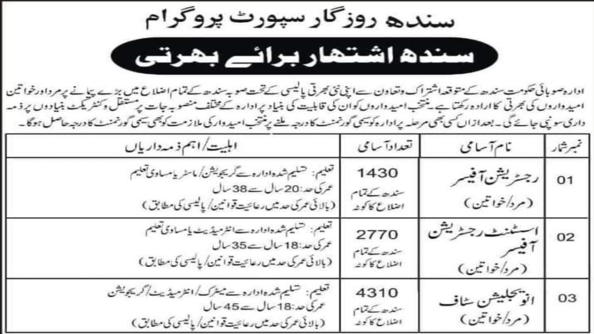Sindh Rozgar Support Program Jobs 